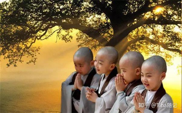 慈经(中英文版)—分享结善缘 - 知乎