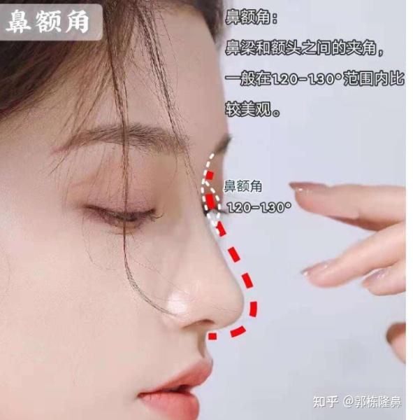 鼻额角小图片