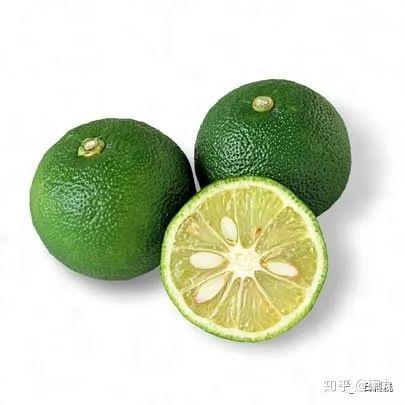日本柚子 | 它，它，它，居然不是柚子，而是橙？！ - 知乎