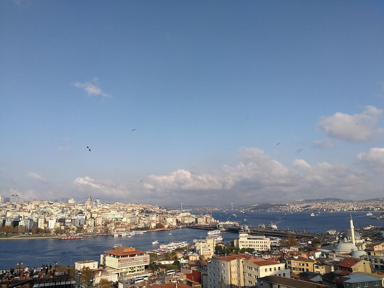 4. 海鸥稀缺物业