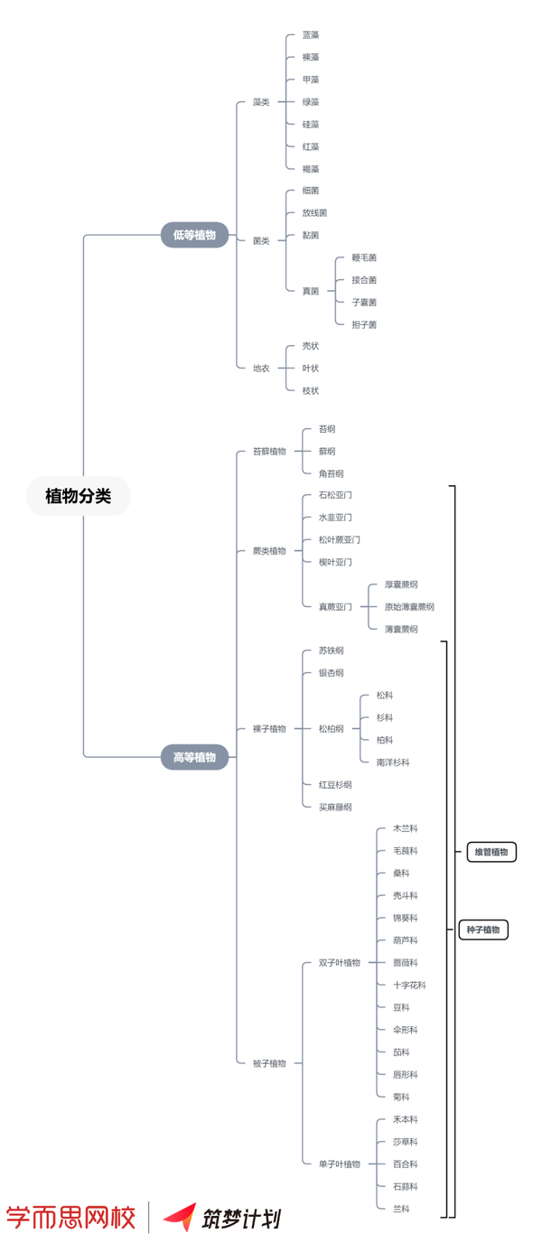 广明老师专栏 三 植物学框架图和复习建议 知乎