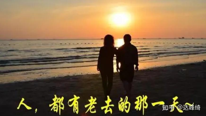 父母在人生尚有来处，父母去人生只剩归途 - 知乎