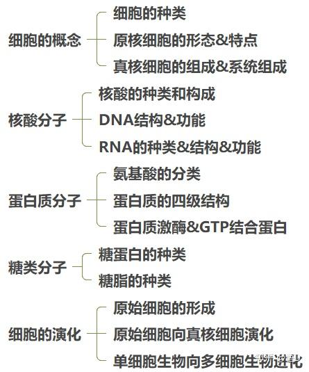 想要一個關於大學生生物基礎導論的思維導圖的模板可以嗎