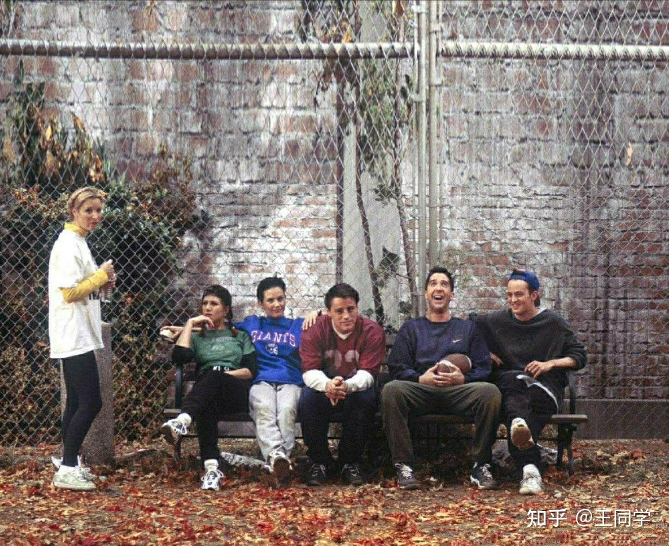 老友记yyds! - 知乎