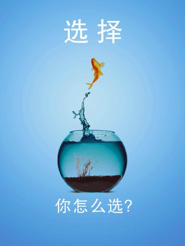 选择决定成败 - 知乎