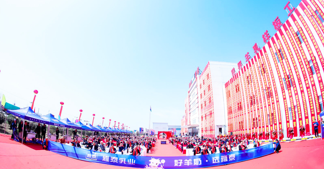 聚力廿载铸辉煌笃行不息启新程雅泰勇攀下一个二十年高峰