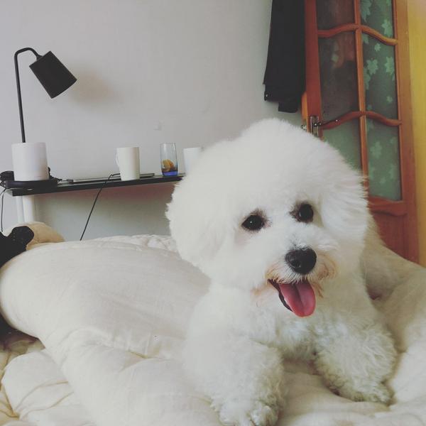 我就是来晒晒我家雪球的