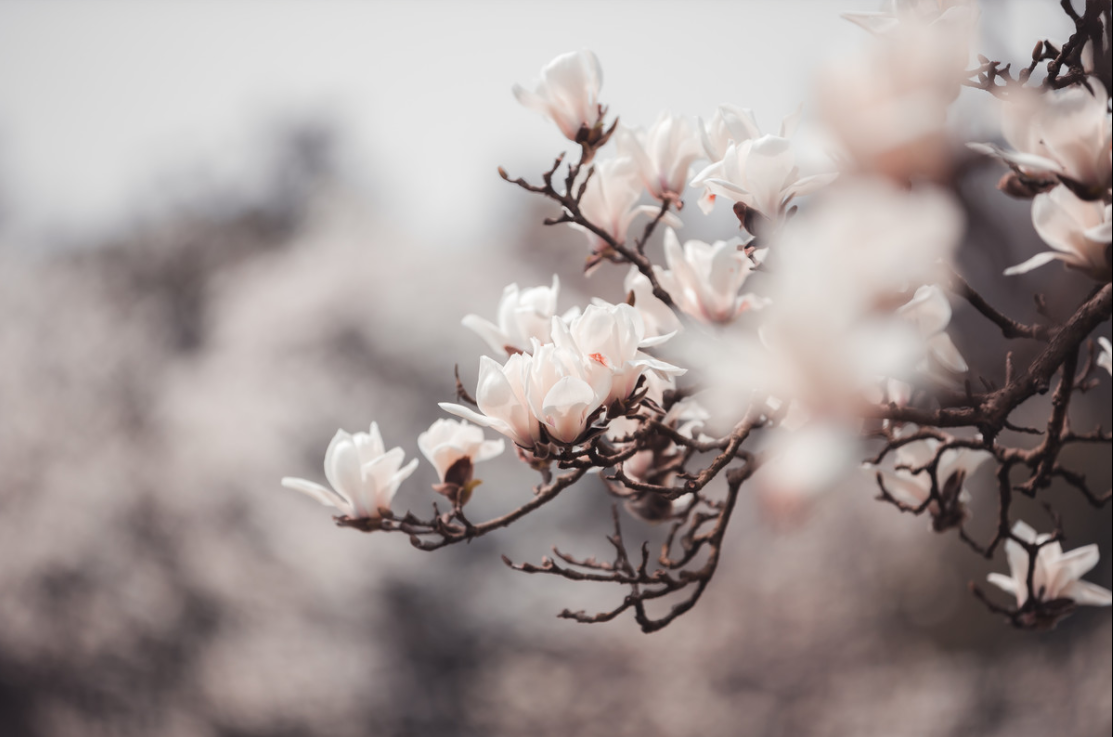 v2-392d1ece8e7c4c903f620e62d48c95be_1440w.jpg?source=172ae18b