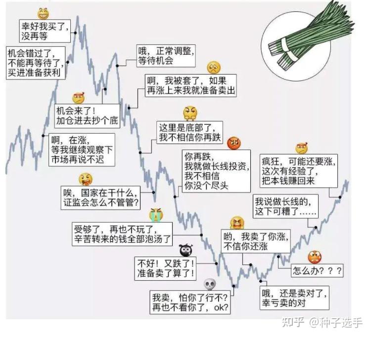 为什么一买股票它就跌,一卖股票它就涨呢? - 知乎