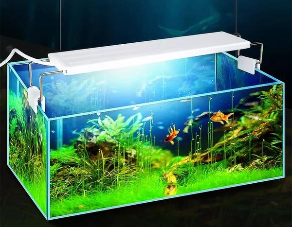 常见鱼缸灯浅析 Led广受欢迎是大趋势 知乎