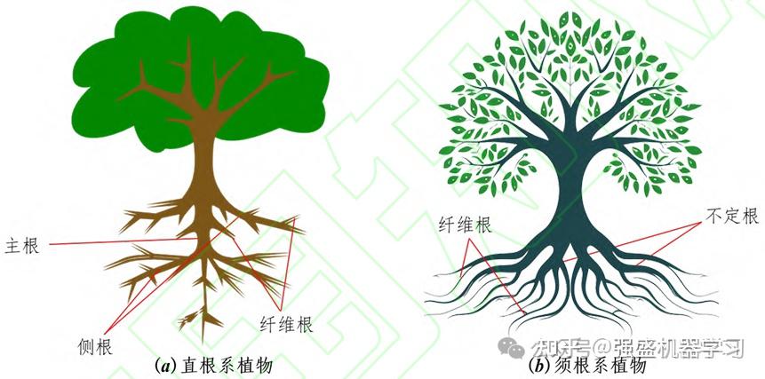 植物根茎生长优化算法(PRGO)-2025年新算法-公式原理详解与性能测评 附完整Matlab代码 - 知乎
