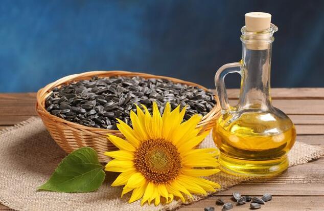 葵花籽油 知乎 葵花籽油 知乎