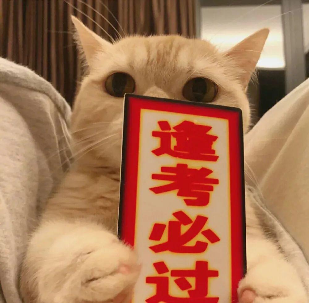 伟大的知乎呀有没有好看的逢考必过情头