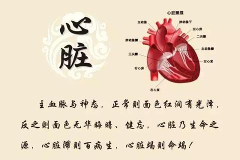 血液的生成为什么精髓有关? - 知乎