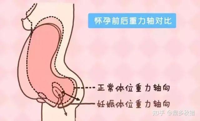 孕期產後為何會出現漏尿,陰道鬆弛?