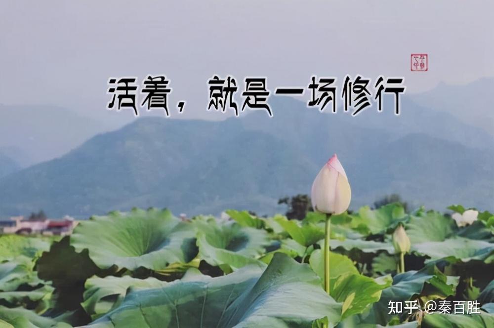 实践论,矛盾论:现代人,如此修行,念头就能通达 - 知乎