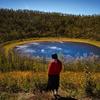 黑夜雨玫瑰