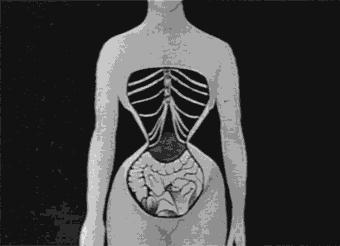 束腰的压迫会强迫腹部发生形变,各个内脏会被挤压移位影响很多功能.