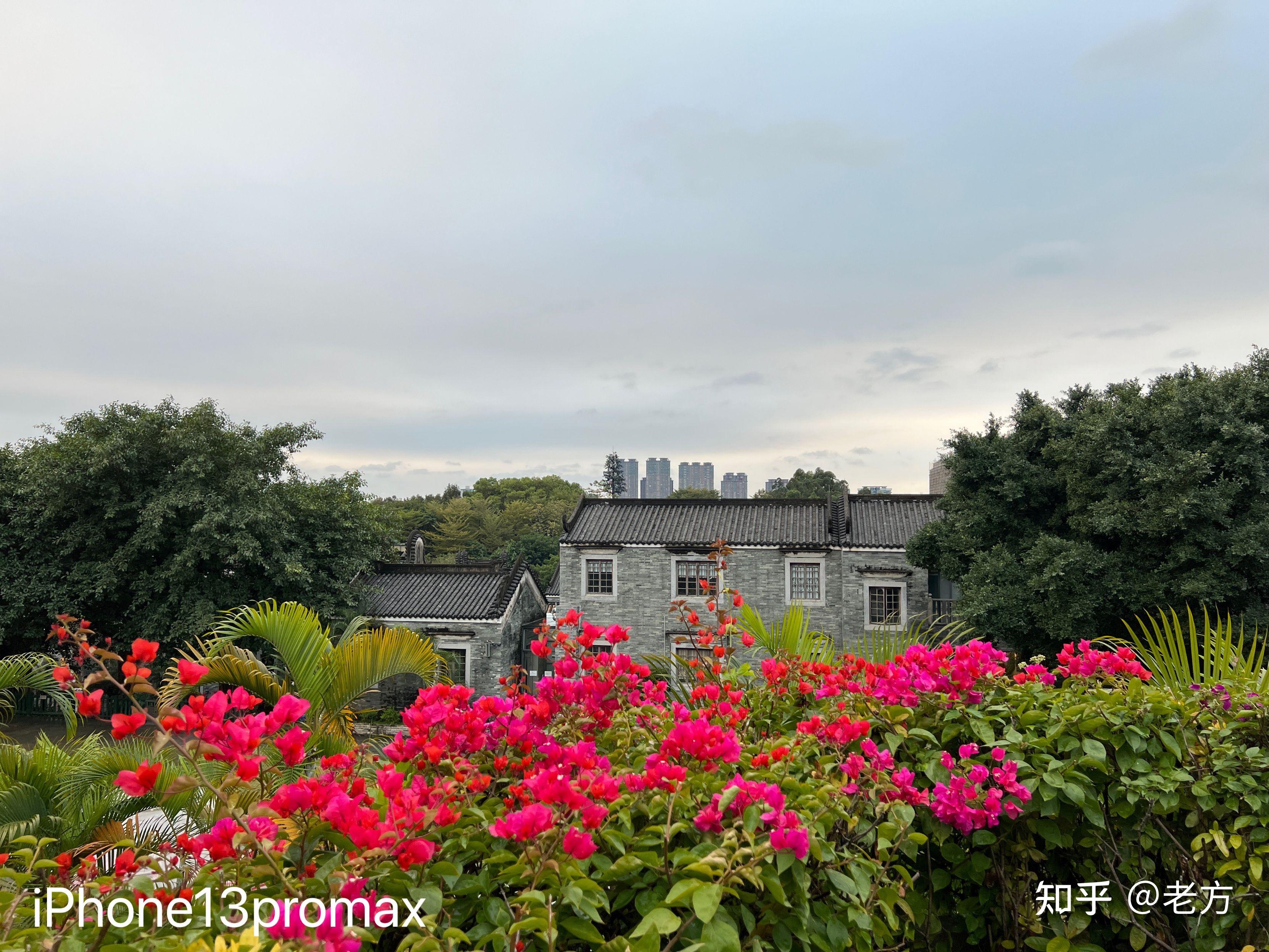 收購iPhone13Promax