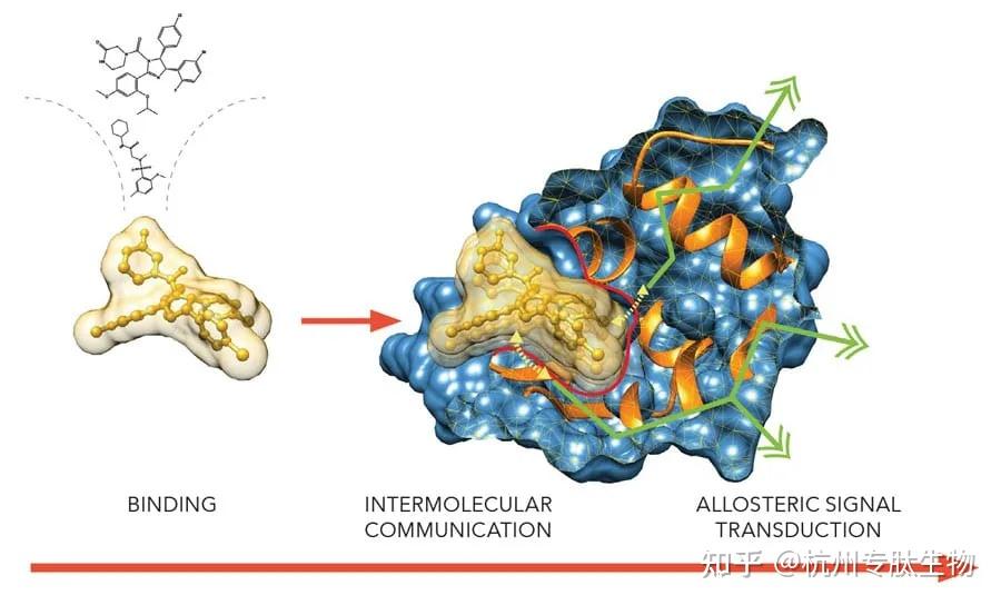 【多肽定制】蛋白质结合位点预测在线服务器盘点 知乎