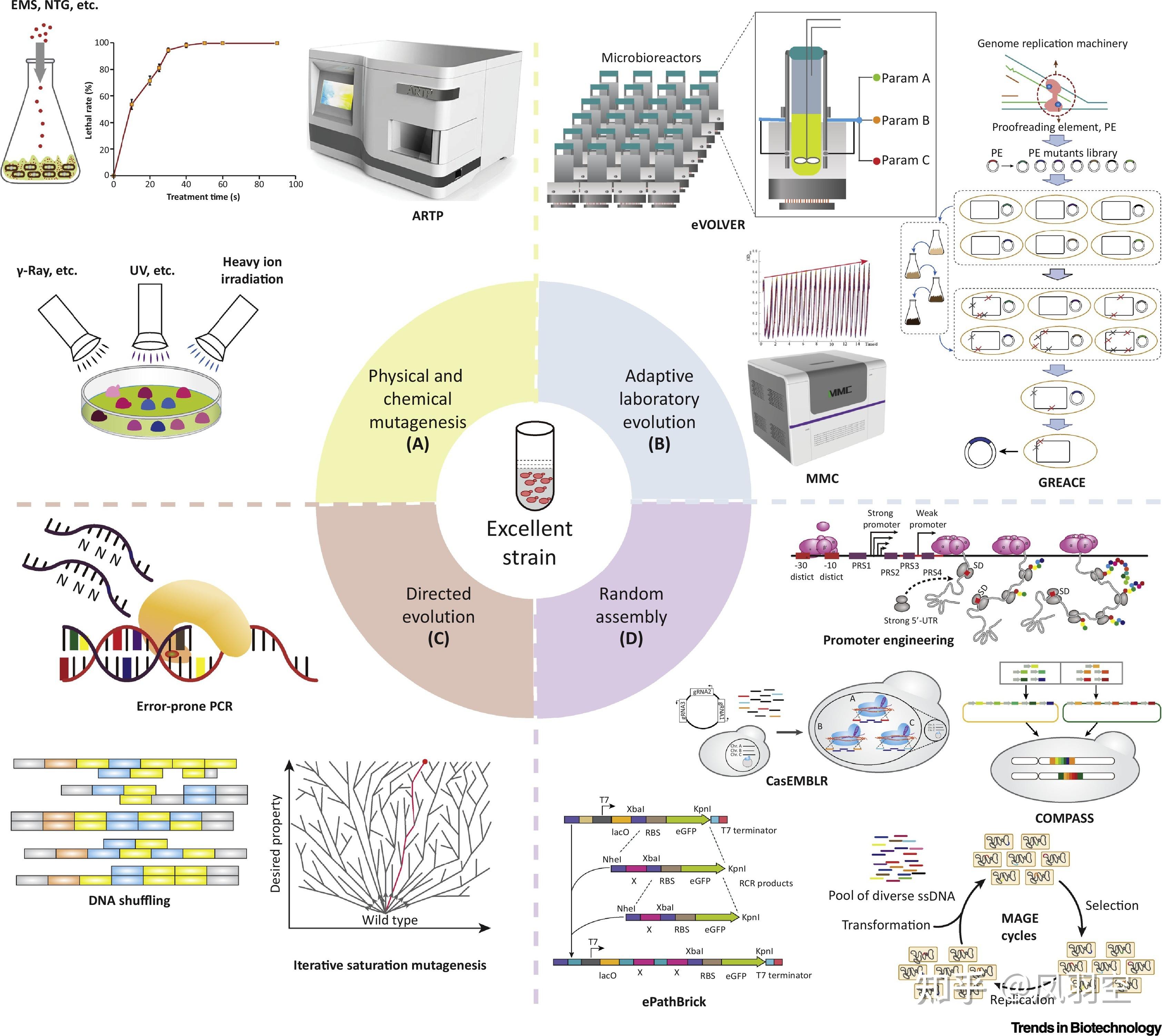 High-throughput Screening(HTS) - 知乎