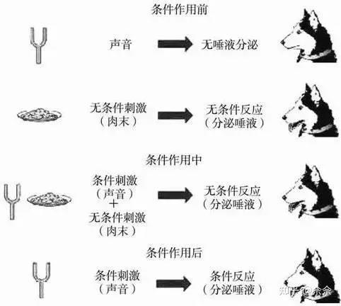如何培养自己深度思考的习惯? - 知乎
