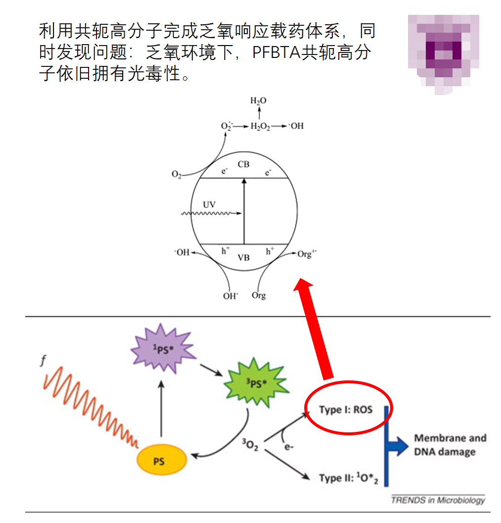 研究光敏剂的光敏氧化机制有什么用呢? - 知乎