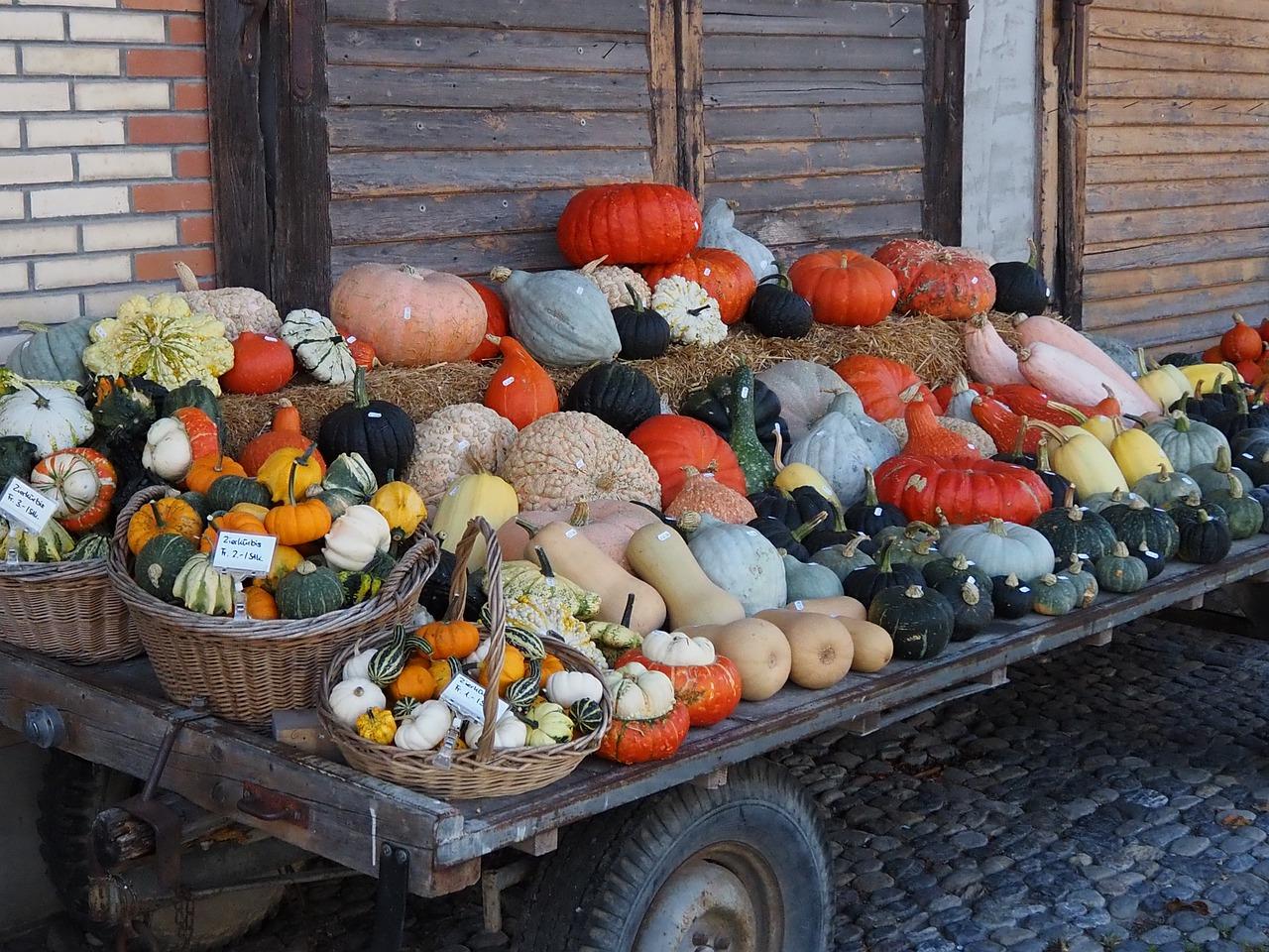 学期评估与总结反馈