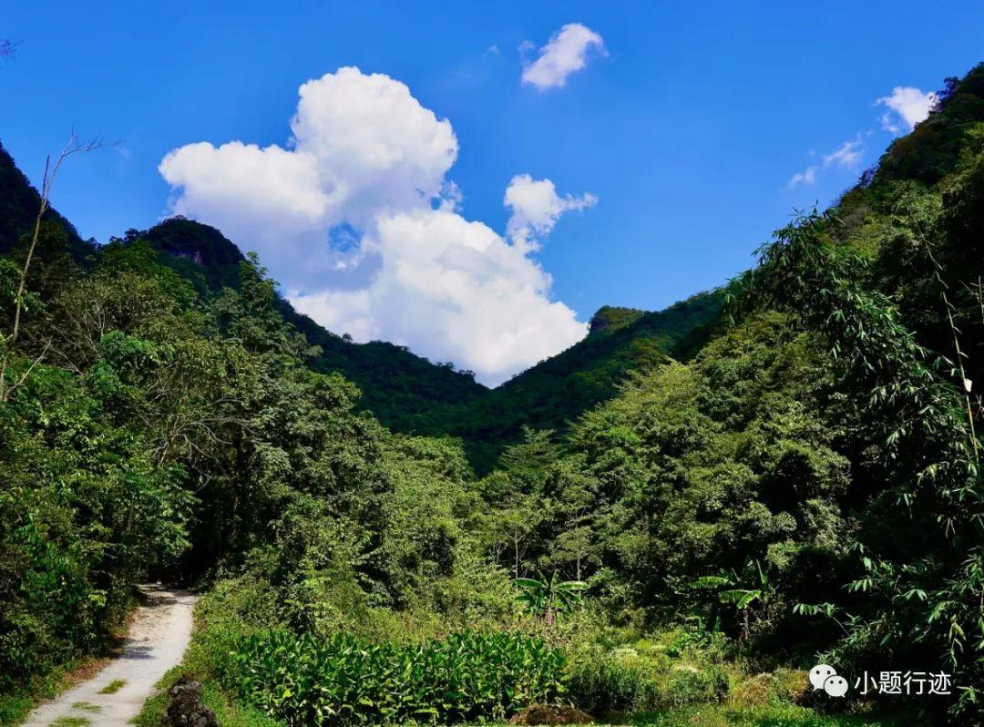 中国最美十大森林之贵州荔波茂兰自然保护区，世界喀斯特森林的原始自然本底 - 知乎