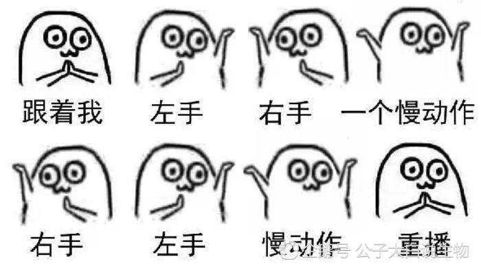 v2-39c527f4b42000a5e1eb017d61c5946c_r.jpg