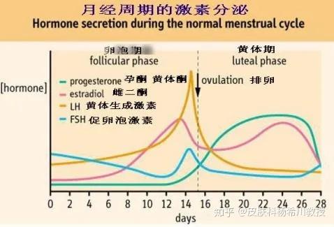 如何拯救你,我的姨妈痘 - 知乎