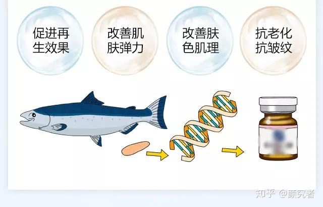 三文鱼针有三文鱼吗什么人才适合用