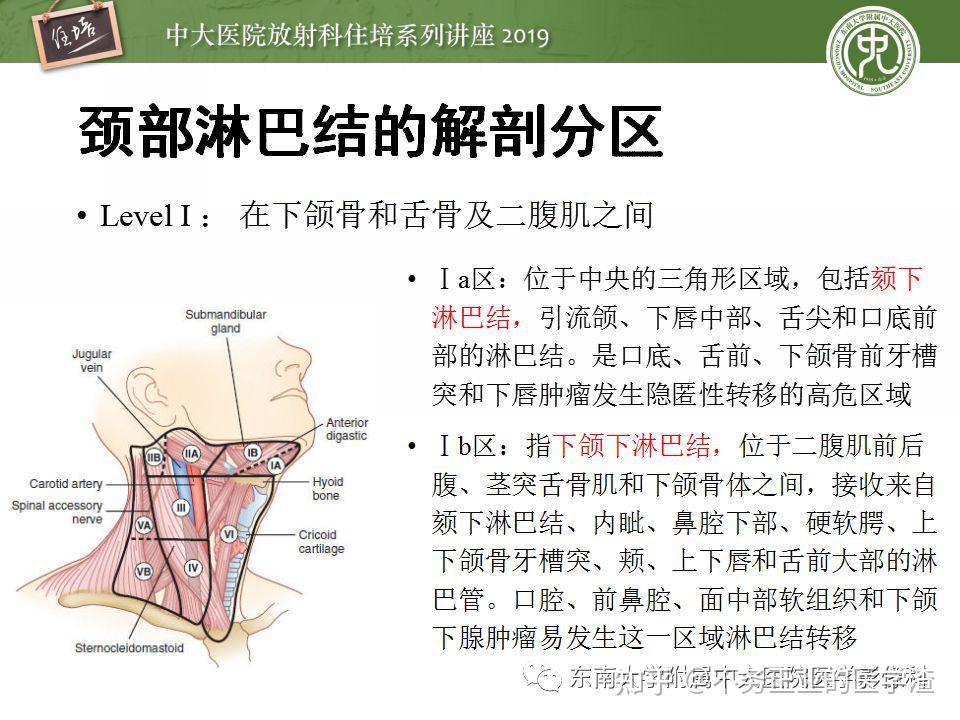 颌下淋巴痛图片