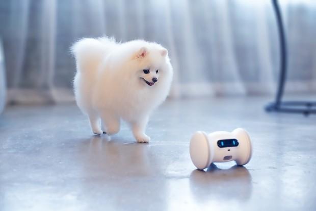 你外出赚钱 家里的宠物交给机器人陪玩就好了 - 知乎