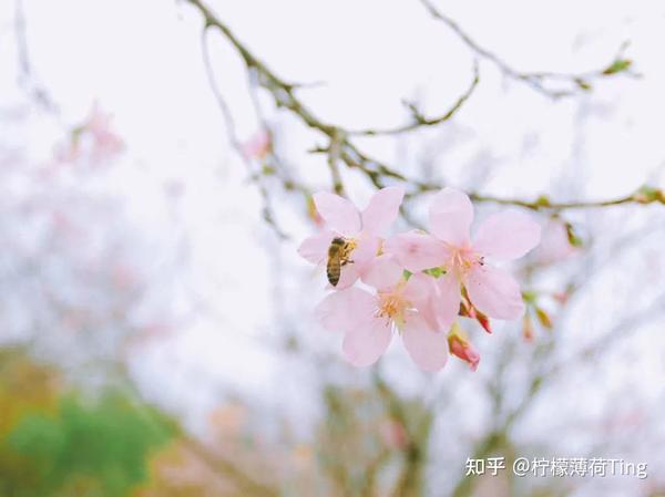来深圳一定要打卡的50个活动 知乎 来深圳一定要打卡的50个活动 知乎