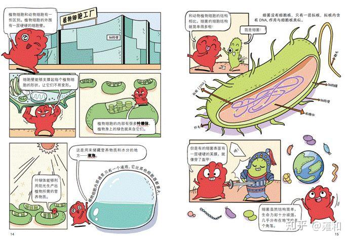 孩子一看就懂的漫画生物大百科,科普知识 番外应用,让科学走进孩子的