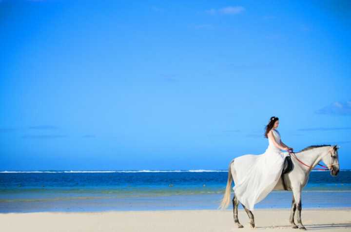 石家庄本色视觉怎么样?马尔代夫 巴厘岛 毛里