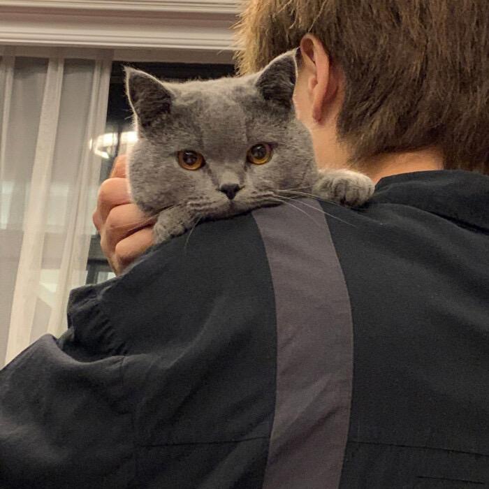 有没有什么惊艳的微信头像?-特别惊艳到人的微信头像