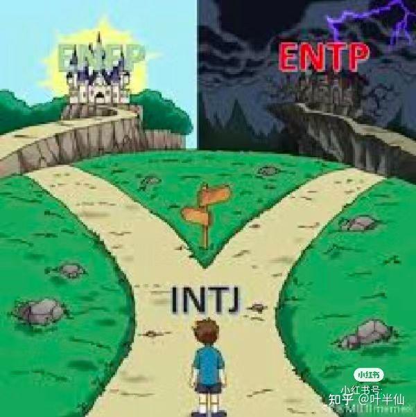 INTJ梗图一览 - 知乎