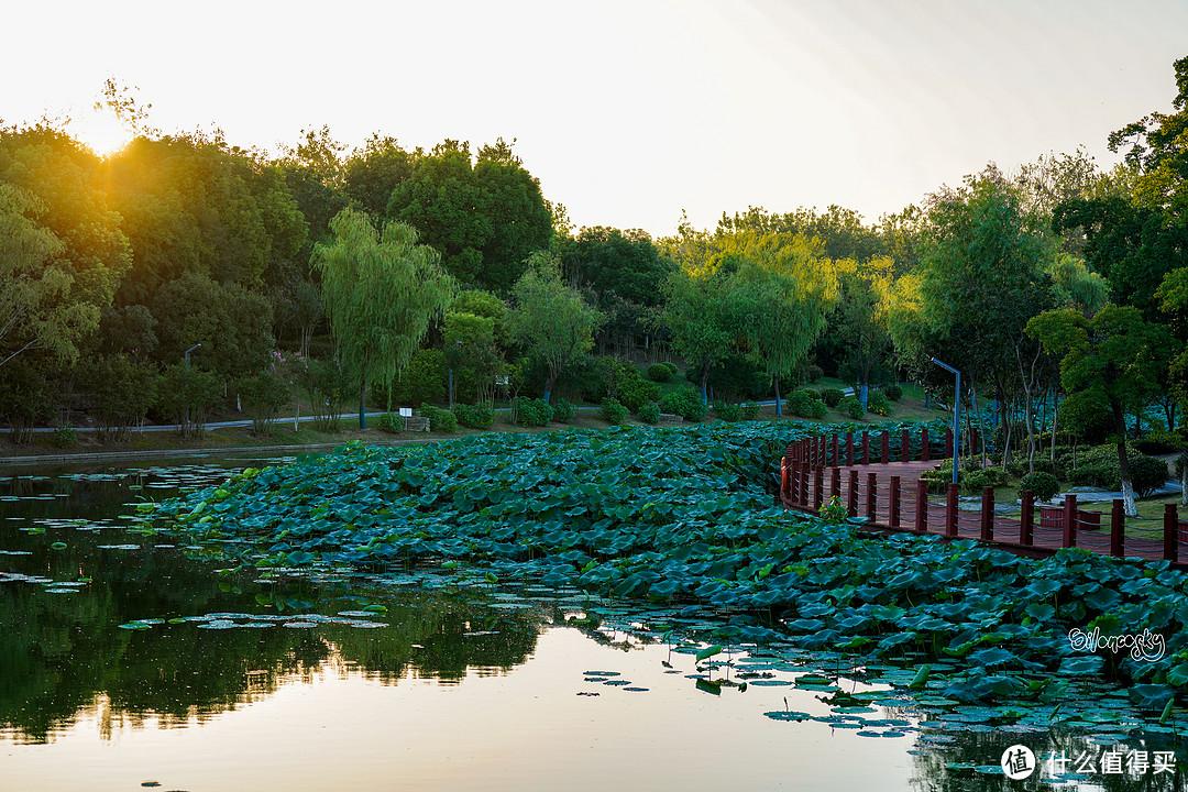 城市:江苏 盐城地址:亭湖区经济开发区天山路1号开业:2009年(沿袭自