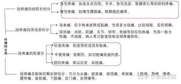 疼痛知多少:疼痛的评估,分类和治疗