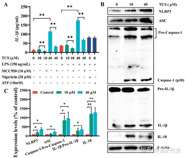 【全谱代谢组专题】文章精读解析LC-MS和GC-MS双平台联用如何成文 - 知乎