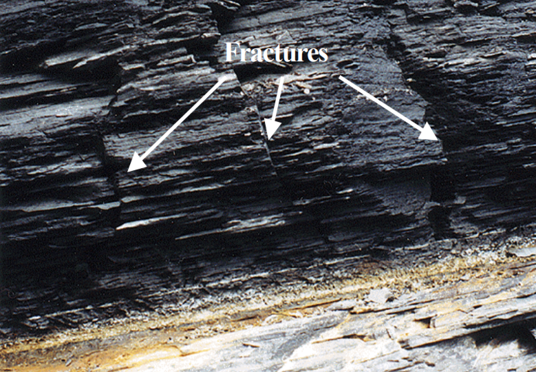 莱茵街组页岩中发育的天然裂缝(david等,2004)钻采黑色页岩岩芯浸水后