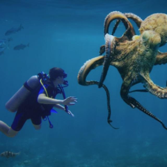 为什么说「章鱼不像地球生物」？