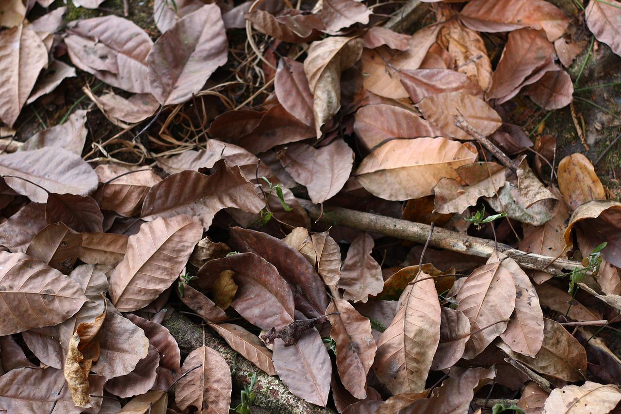 3. 冷却处理技巧