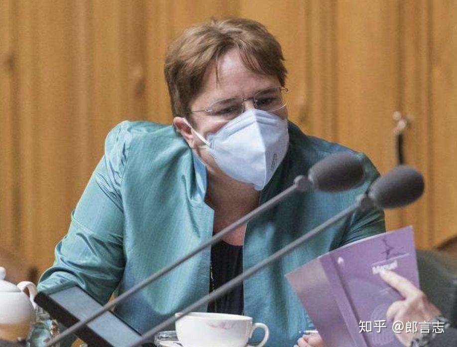 瑞士人口罩_戴口罩的卡通图片