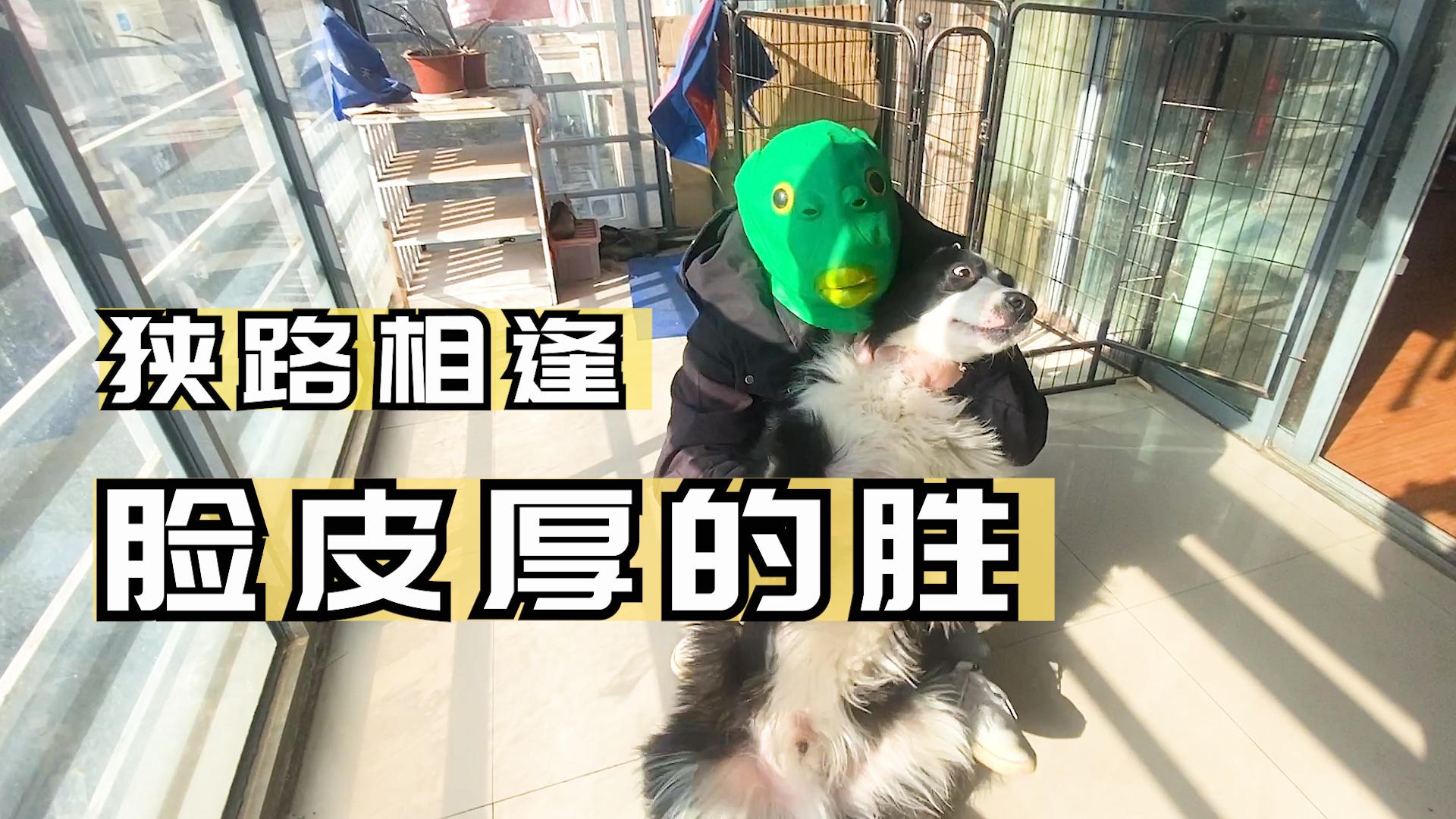 跪求刘耀文绿头鱼的表情包! - 知乎