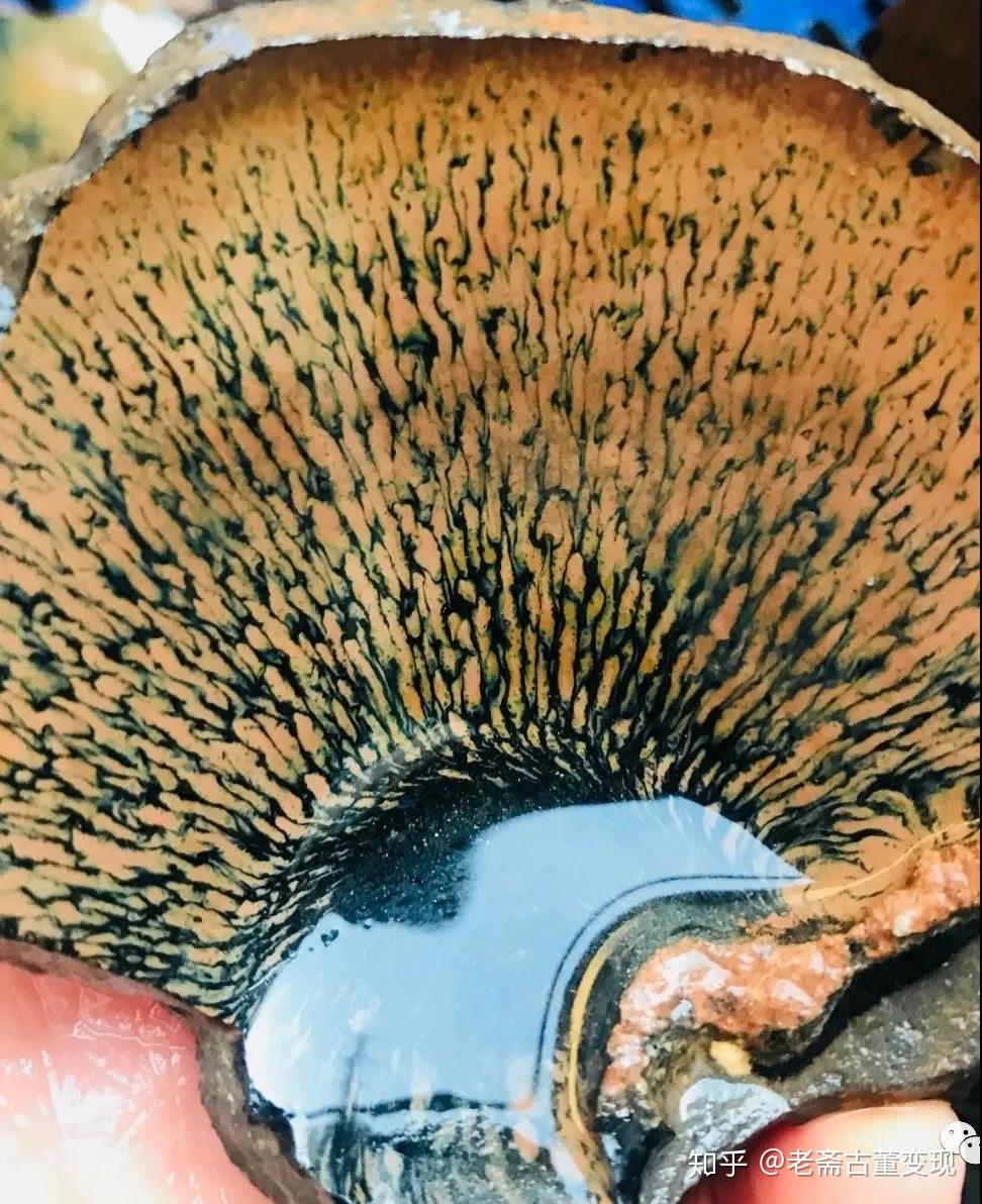 老斋说收藏古玩入门陶瓷篇十四窑变结晶釉