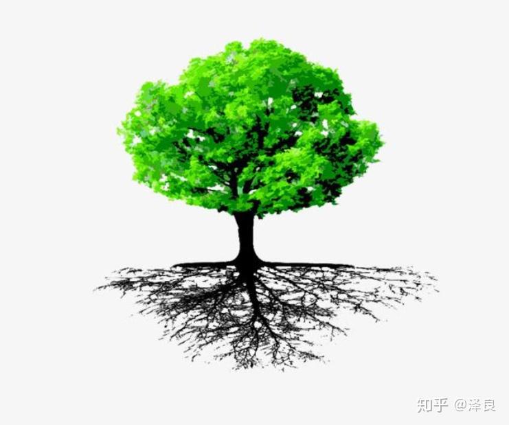 树高千尺,唯有根深!人生重点是寻找我们的根!