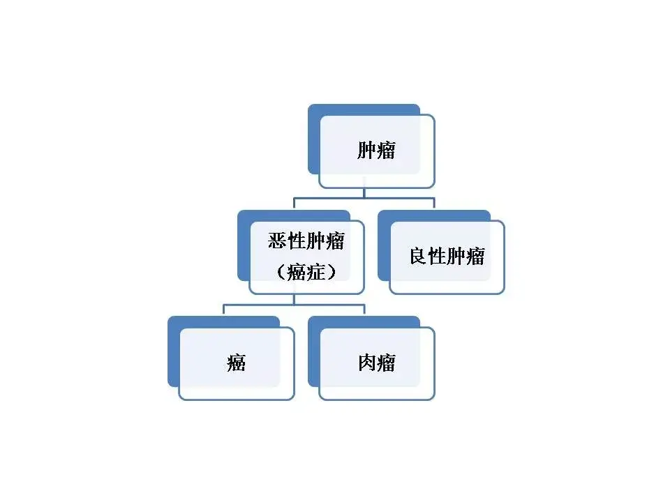 肿瘤和癌症有哪些区别